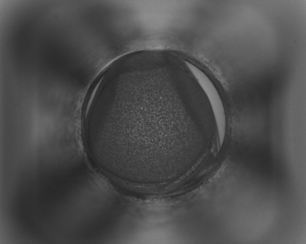 X0000047501465200503161500.png