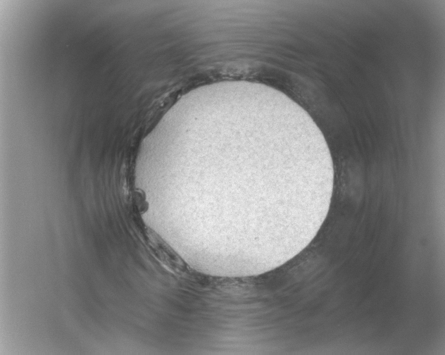 X0000054270962200508261912.png