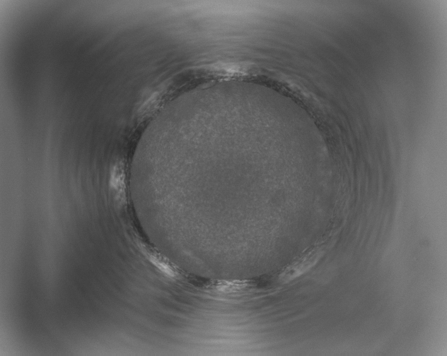 X0000055060720200508161645.png