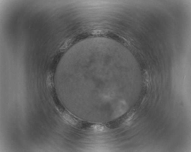 X0000054350272200508190136.png