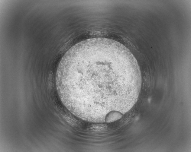 X0000054270659200508261917.png