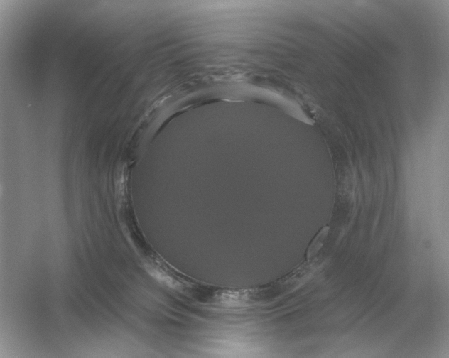 X0000054350084200508190139.png