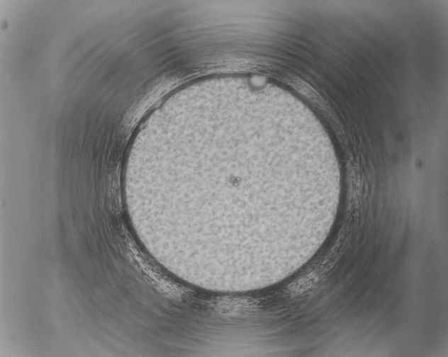 X0000054580842200508300058.png