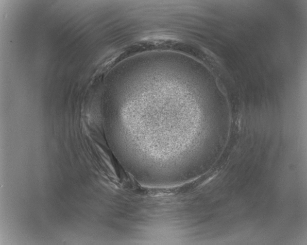 X0000054301014200508042304.png