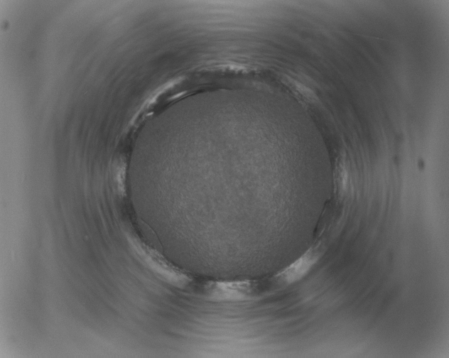 X0000054170188200508101809.png