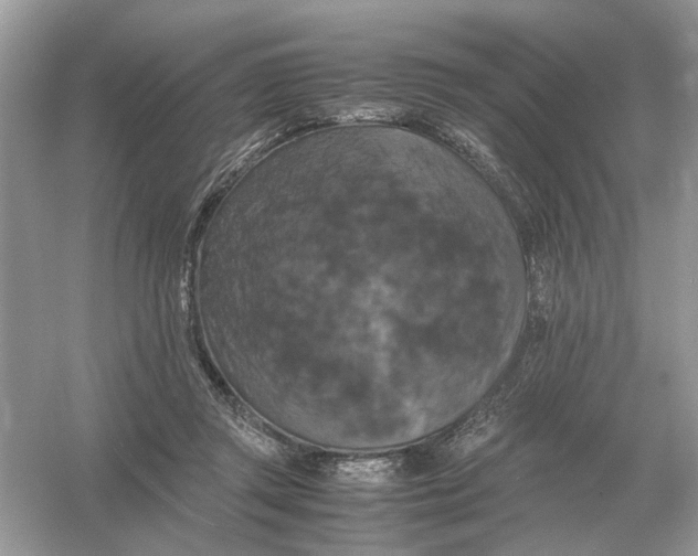 X0000054350357200508190134.png