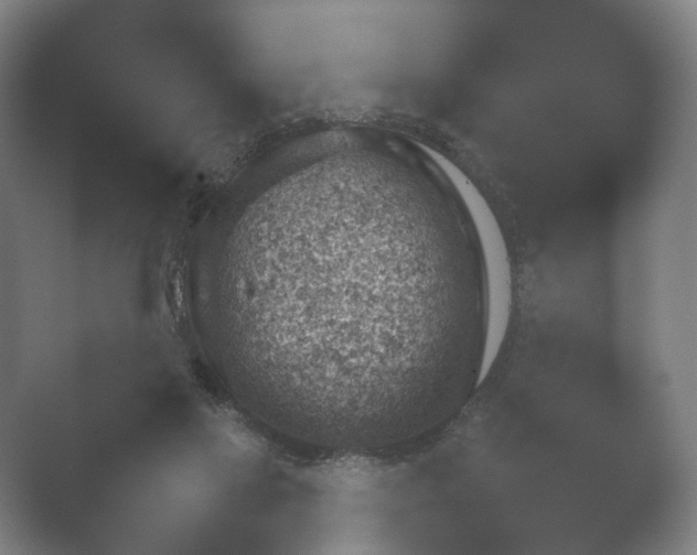 X0000052280069200507132039.png
