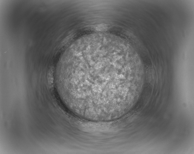 X0000055060032200508161657.png