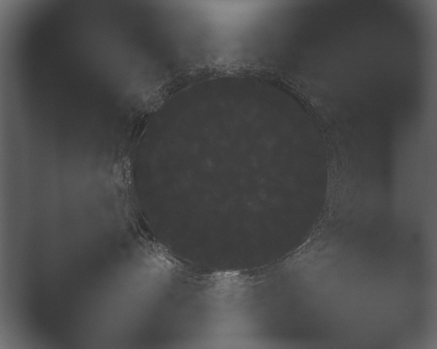 X0000052730528200507141549.png