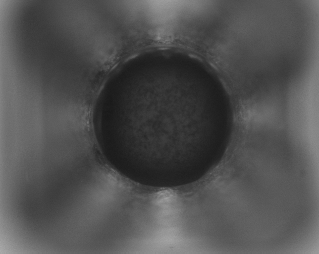 X0000054730511200508171855.png