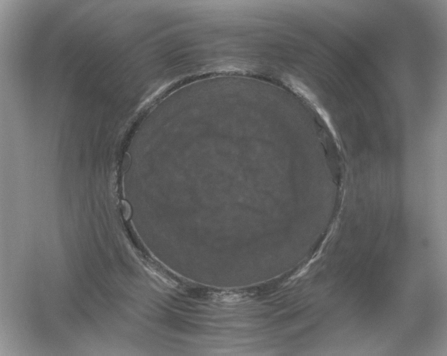 X0000054350249200508190135.png