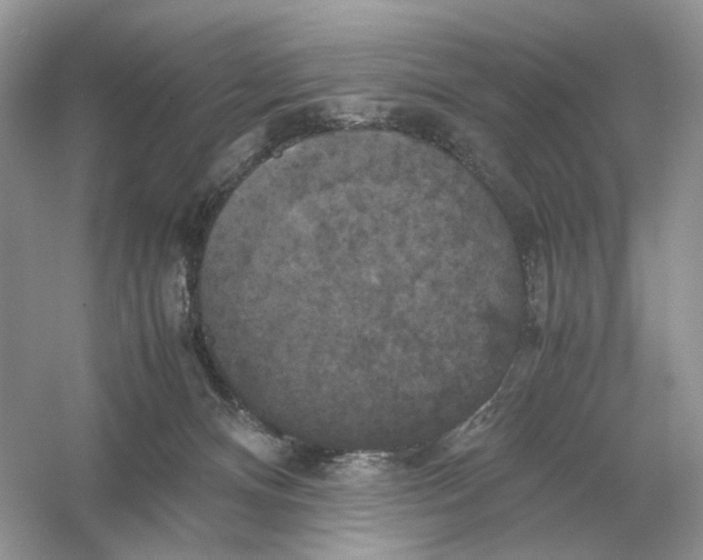 X0000054350128200508190138.png