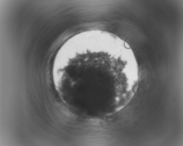 X0000053460339200508112203.png