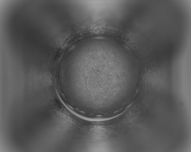 X0000052280649200507132030.png