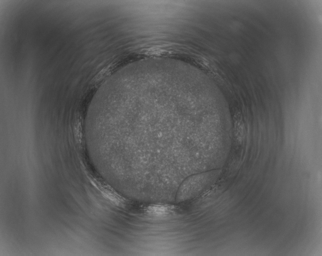 X0000055210375200508301328.png