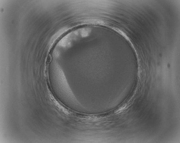 X0000054170799200508101758.png
