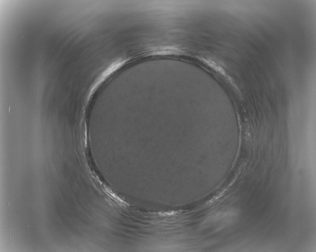 X0000054351317200508190118.png