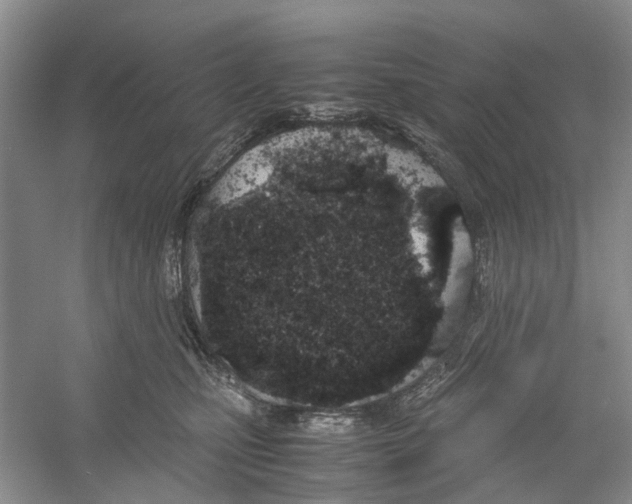 X0000054270471200508261921.png