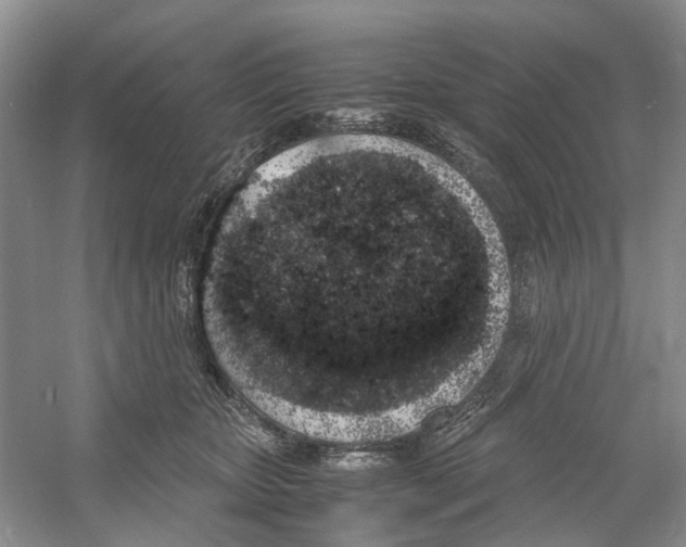 X0000054270467200508261920.png