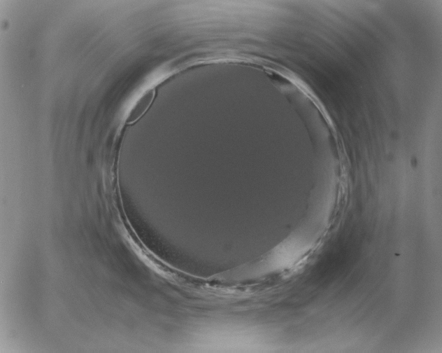 X0000054171197200508101752.png