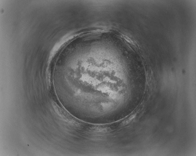 X0000054650343200508091647.png