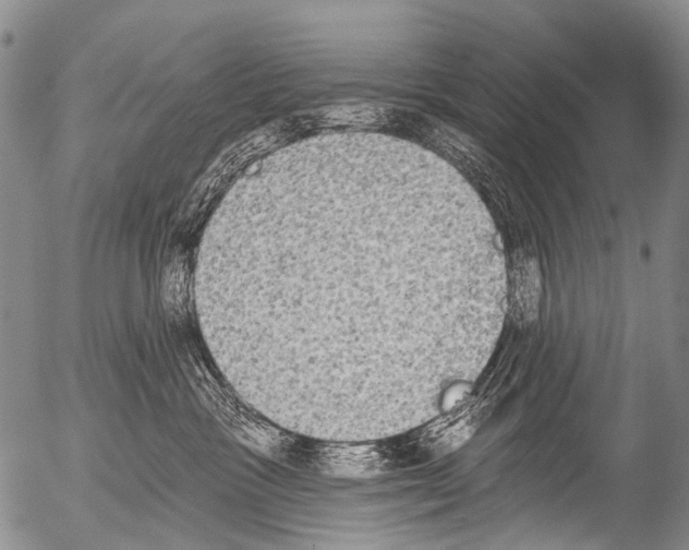 X0000054580333200508300107.png