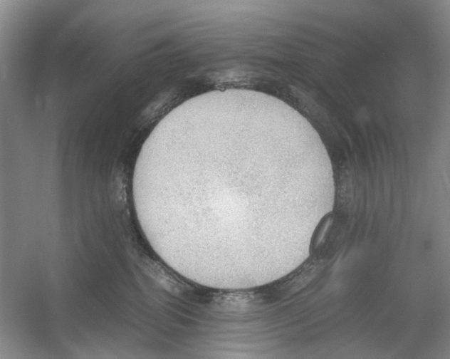 X0000054270282200508261924.png