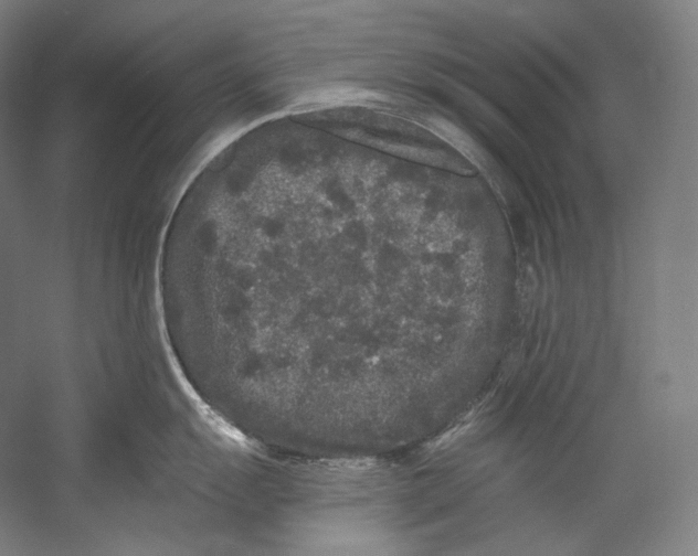 X0000055211055200508301317.png