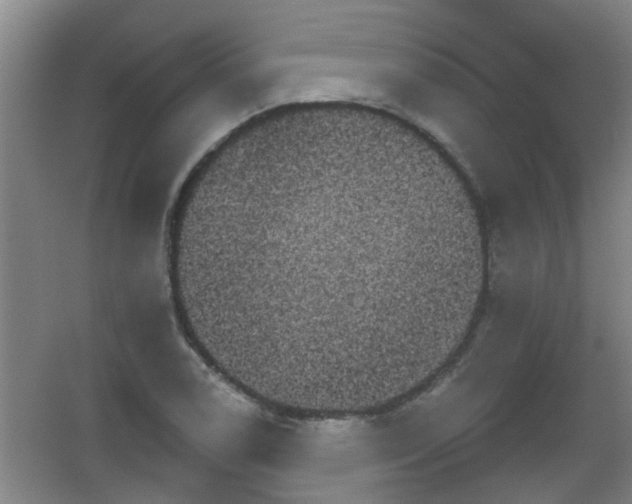 X0000053461122200508112150.png