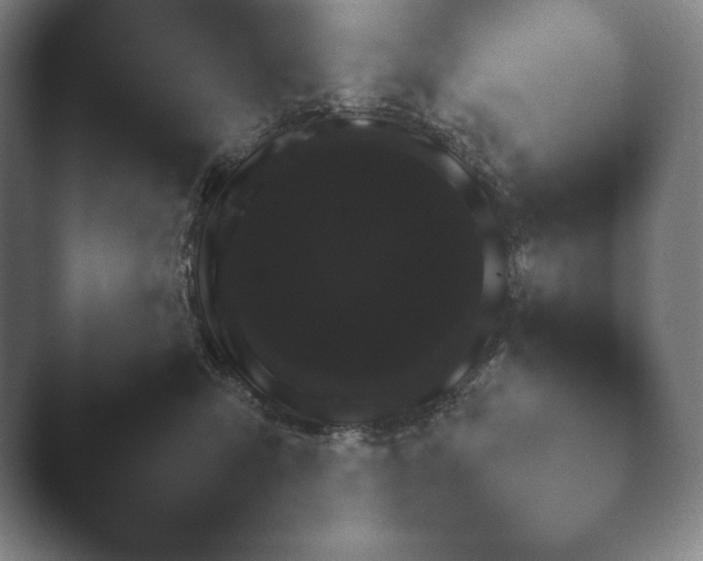 X0000041780423200411271526.png
