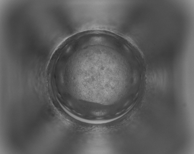X0000052280972200507132024.png