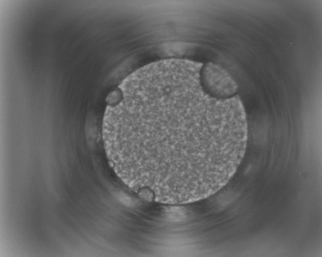 X0000053460091200508112208.png