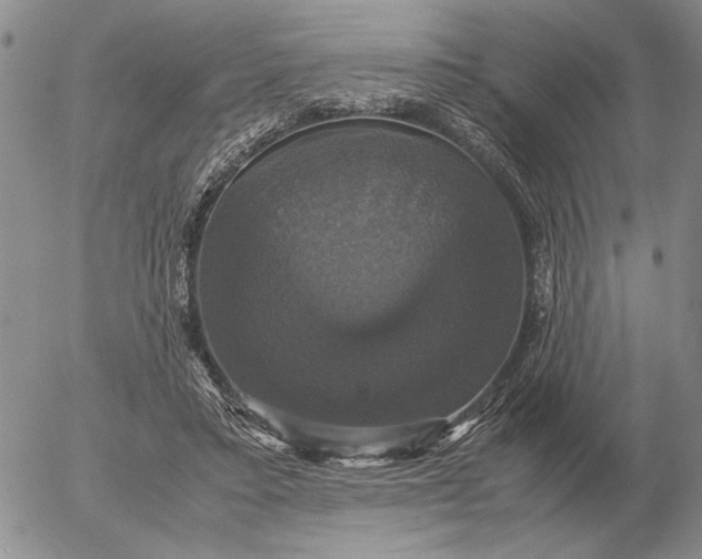 X0000054170403200508101805.png