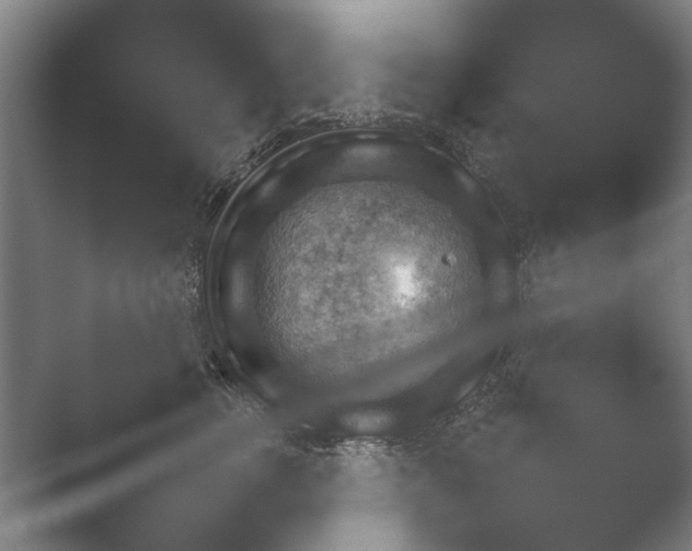 X0000052280762200507132028.png