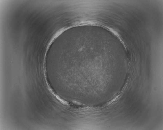 X0000055061373200508161634.png