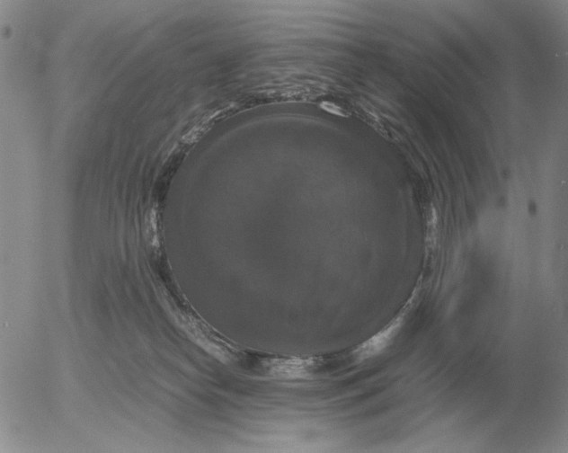 X0000054170182200508101809.png