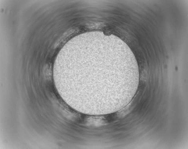 X0000054230179200508171521.png