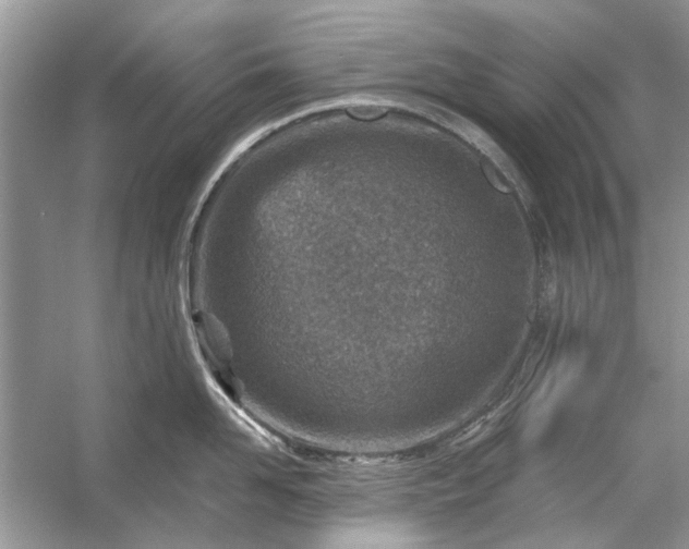 X0000054300958200508042307.png
