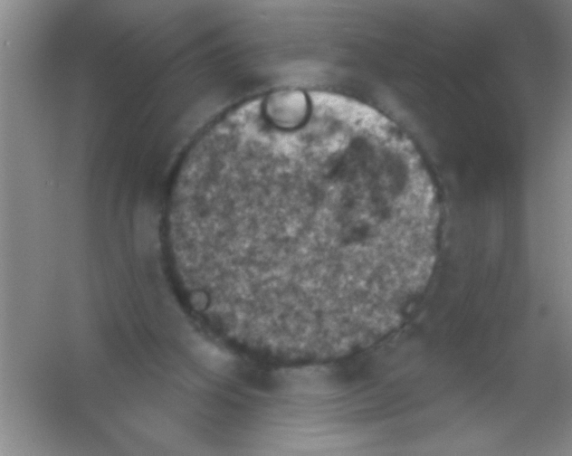 X0000053460106200508112208.png