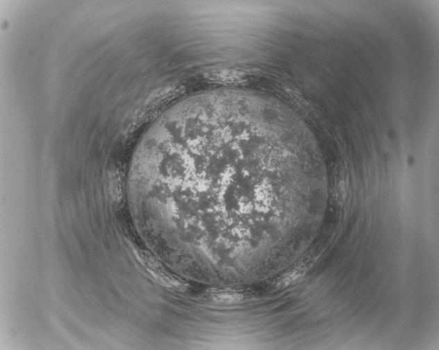 X0000055070658200508232330.png