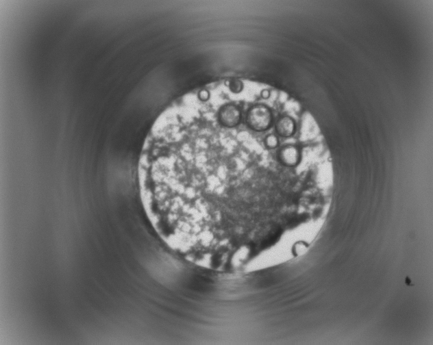 X0000053460192200508112207.png