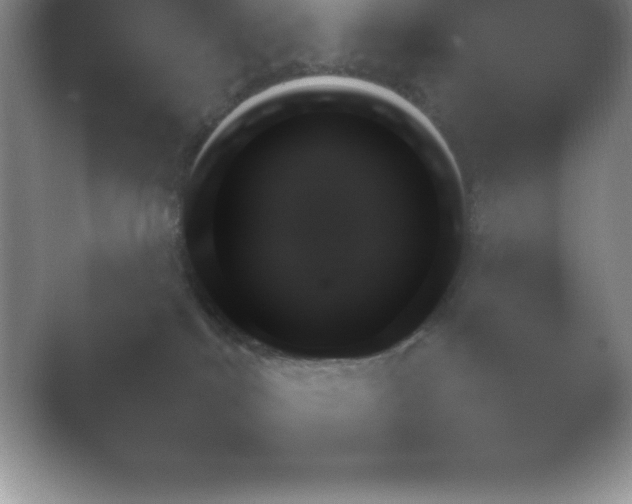X0000054730040200508171903.png