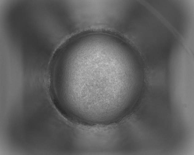 X0000052280016200507132040.png