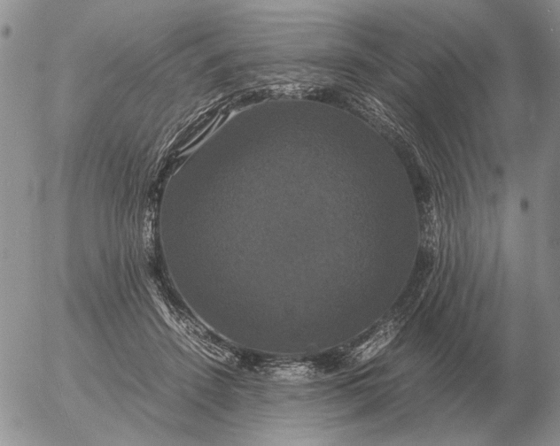 X0000054170456200508101804.png