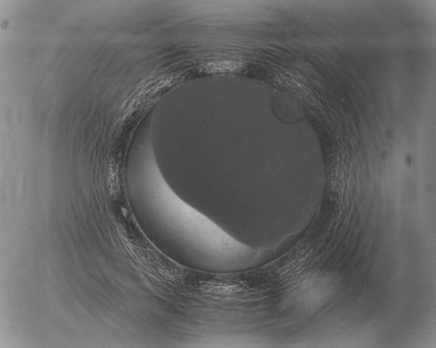 X0000054170743200508101759.png