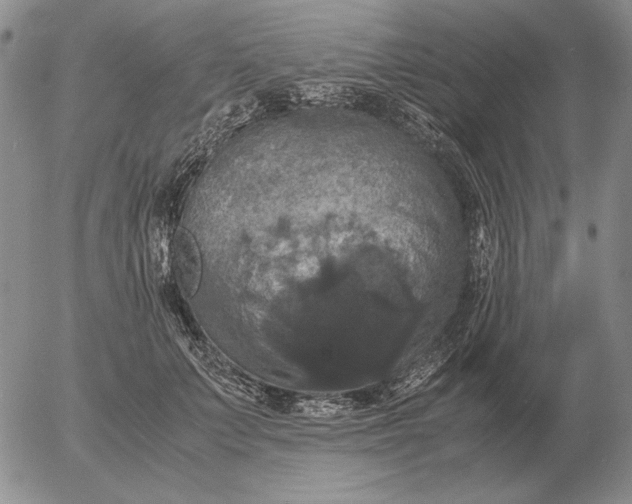 X0000054170703200508101800.png
