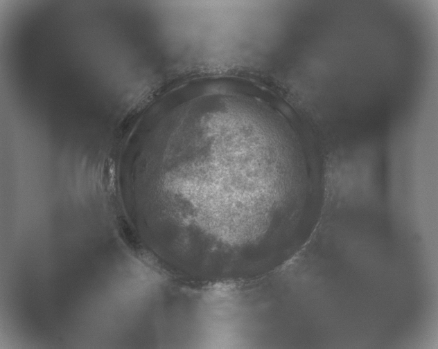 X0000052150166200507052001.png