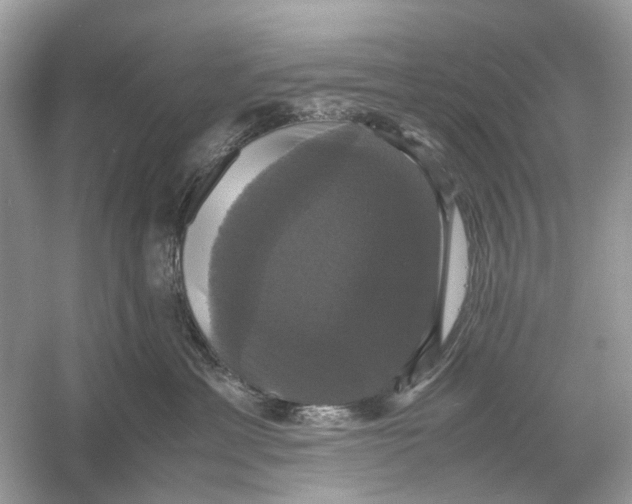 X0000054350429200508190133.png