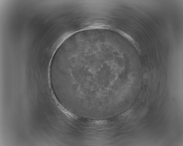 X0000055061423200508161634.png