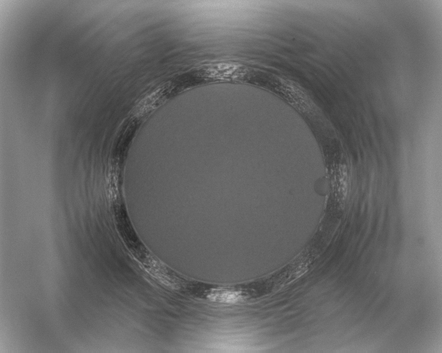 X0000054350602200508190130.png